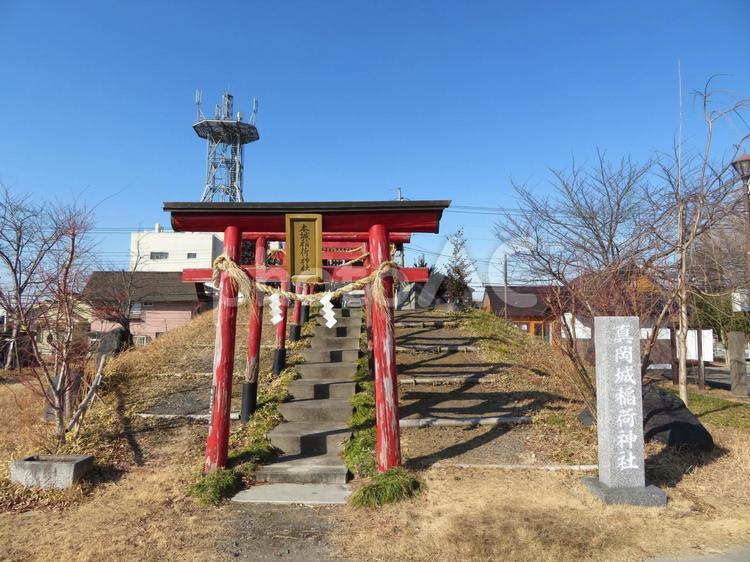 真岡市城山公園の本城稲荷神社 本城稲荷神社,神社,鳥居の写真素材
