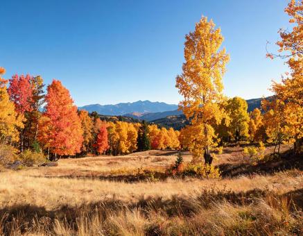 紅葉が広がる秋の自然風景 紅葉が広がる秋の自然風景の写真