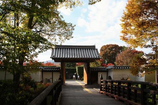 紅葉と城門＠池田城 城門,紅葉,秋の写真素材