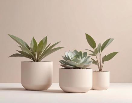 植物のある暮らし 植物のある暮らしの写真