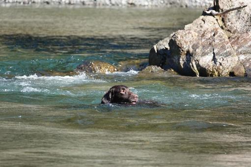 初秋の清流にて 初秋の清流にての写真