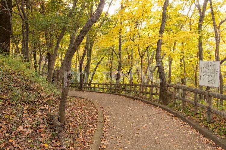 東京の田舎の自然 東京,田舎,屋外の写真素材