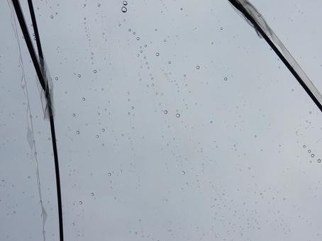雨と傘 雨と傘の写真