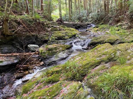 熊野古道伊勢路猿木坂を流れる沢・三重県 熊野古道伊勢路猿木坂を流れる沢・三重県 熊野古道,伊勢路,沢の写真素材