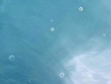 水面と泡のテクスチャ 水面と泡のテクスチャの写真