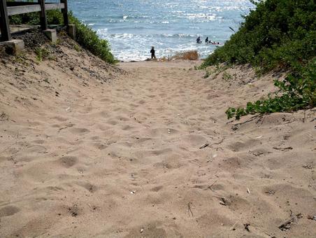 海へと続く道 海へと続く道 海,砂浜,砂の写真素材
