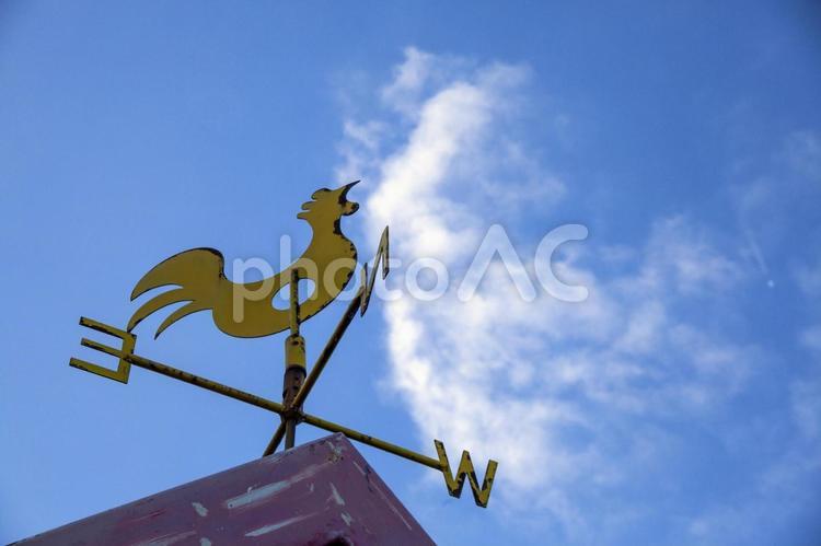 芦が池3（田原市） 風見鶏,池,水の写真素材