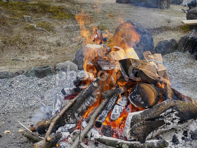 炎をあげる焚き火 炎,焚き火,冬の写真素材