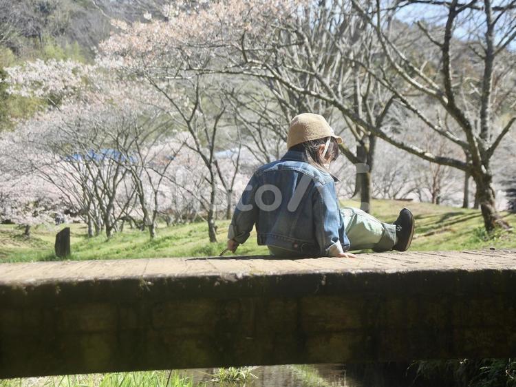 桜並木と子供 桜,春めき桜,子供の写真素材