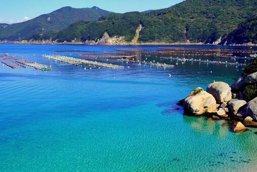 高知の海（柏島） 高知,高知県,柏島の写真素材