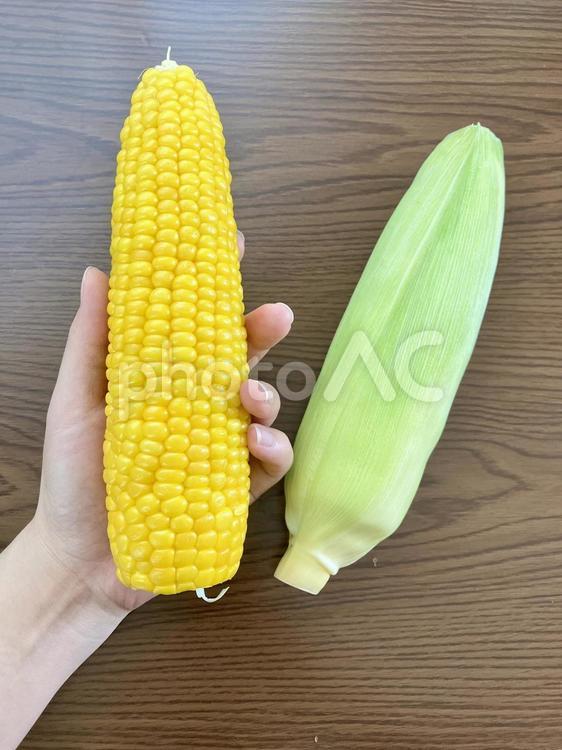新鮮で美味しいトウモロコシを持つ女性の手 トウモロコシ,新鮮,美味しいの写真素材