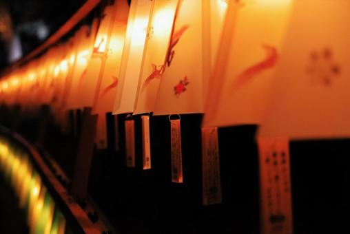 夜の明治神宮 夜の明治神宮の写真