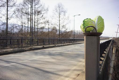 長野県南佐久郡川上村にある川上大橋の写真