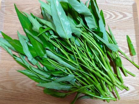 出荷を待つとれたて空芯菜(クウシンサイ) 出荷を待つとれたて空芯菜(クウシンサイ) 美味しい,食材,野菜の写真素材