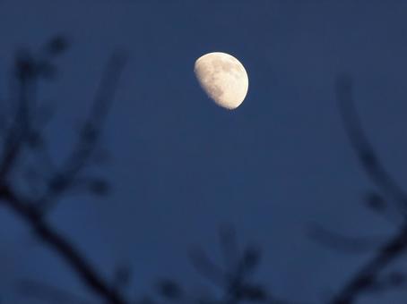 12月の月 12月の月 月,冬,夜空の写真素材