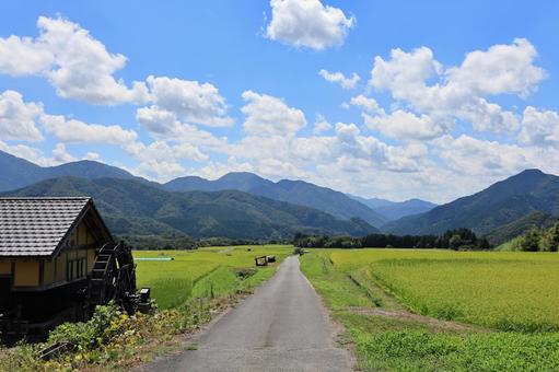 夏の貝田集落 14 夏の貝田集落 14 大山,貝田集落,棚田の写真素材