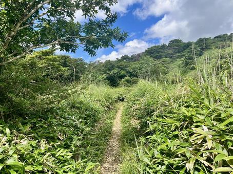 天山の登山道 天山の登山道の写真