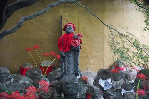 千本ゑんま堂の彼岸花 千本ゑんま堂の彼岸花の写真