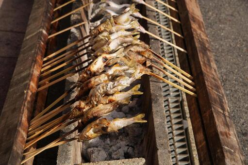 鮎の塩焼き 鮎の塩焼き,バーベキュー,野外調理の写真素材