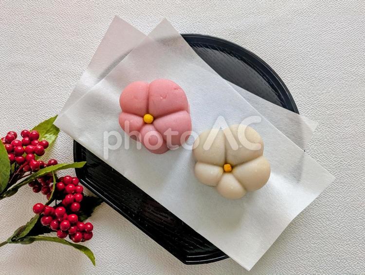 和菓子紅白（練り菓子）背景白＆南天 和菓子,練り菓子,和風の写真素材