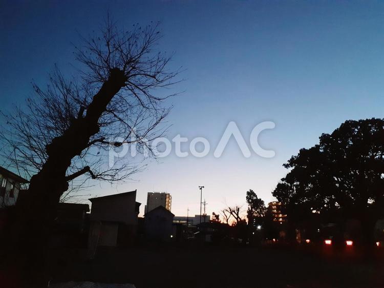 夕景に浮かぶシルエット 夕景,夕焼け,綺麗の写真素材