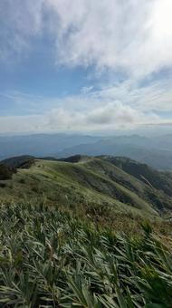 蒜山の登山道の写真