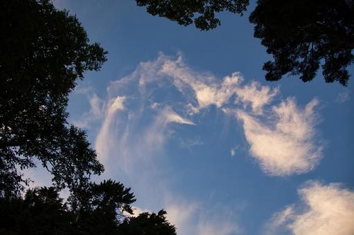 夕日の空と雲 夕日の空と雲の写真