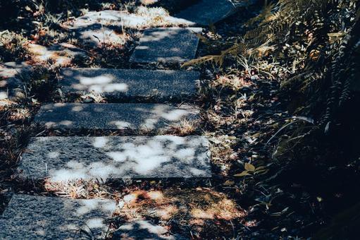 フィルム風の木陰の散歩道 フィルム風の木陰の散歩道の写真