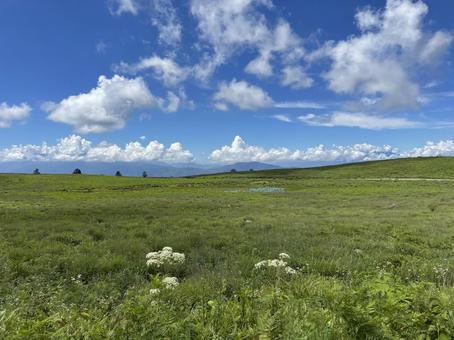 信州 霧ヶ峰高原 信州 霧ヶ峰高原の写真