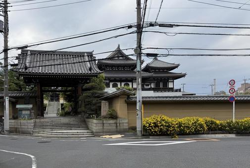 平井聖天　燈明寺　門の前 門前,石灯籠,灯りの写真素材