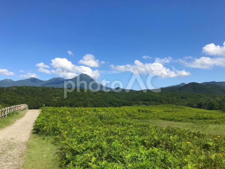 知床のフレペの滝への散歩道 フレペの滝,知床,知床連山の写真素材