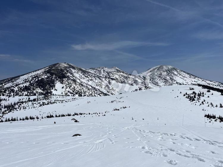 八甲田山 八甲田山,山,空の写真素材