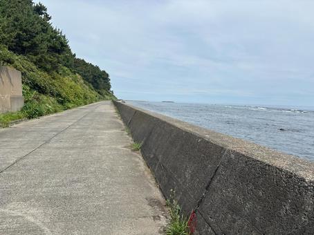 海沿い 海沿い 自然,海,凪の写真素材
