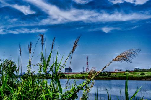 ススキと川面 川,荒川,街の写真素材