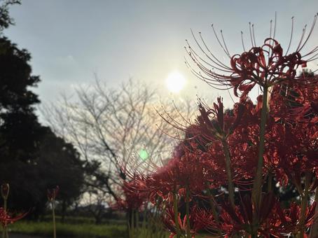 秋の風景の写真