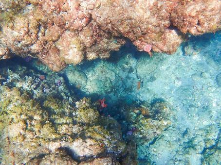 海底の隙間 海底の隙間 浅瀬,海底,海の写真素材