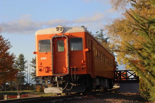 紅葉と電車 紅葉と電車 幸福駅,電車,紅葉の写真素材