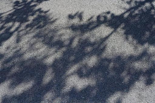 影 木の影,影,日中の写真素材