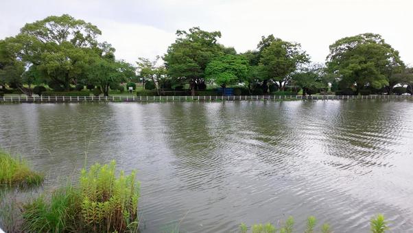 池 池の写真