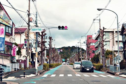 秋の信号待ち 信号待ち,交差点,t字路の写真素材