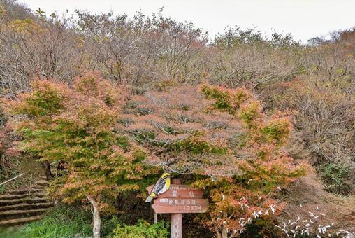 秋の妙見岳山頂 妙見岳,山頂,紅葉の写真素材