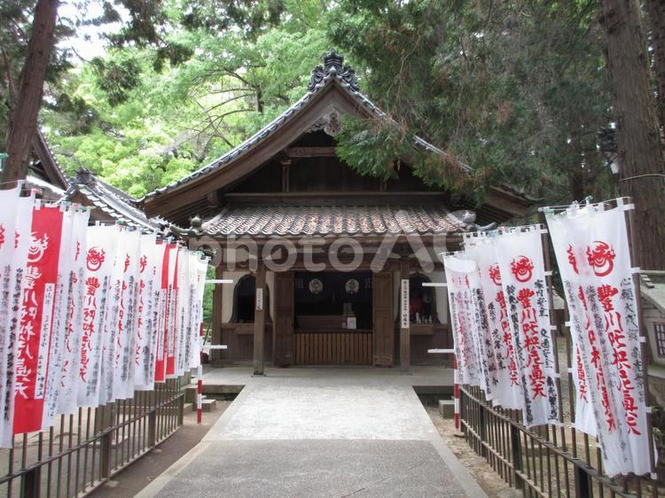 愛知県-妙厳寺-弘法堂 妙厳寺,寺,円福山の写真素材