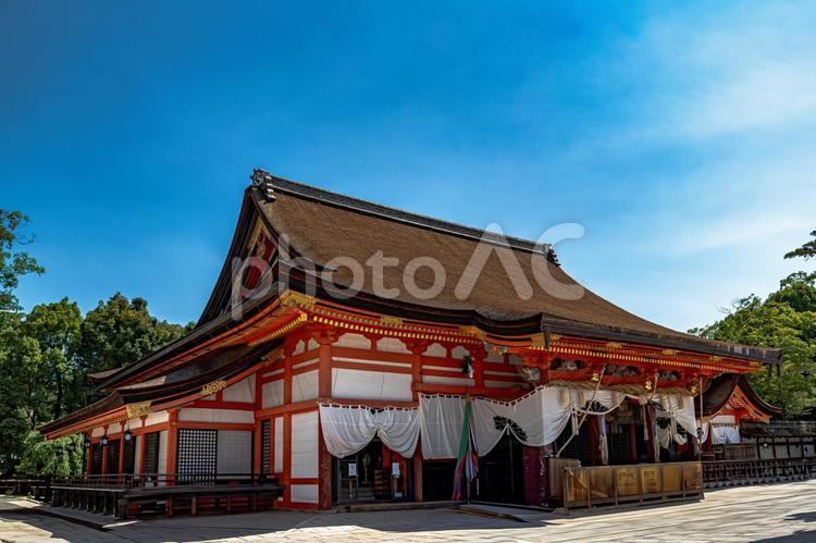 京都　八坂神社　舞殿 八坂神社,舞殿,提灯の写真素材
