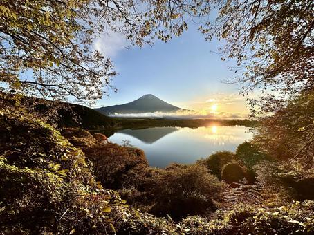 秋色の木々と朝日と富士山 富士山,田貫湖,紅葉の写真素材
