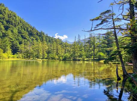 明神池 夏の上高地 明神池 夏の上高地 上高地,夏,明神池の写真素材