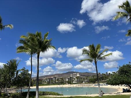 ハワイ ハワイの写真