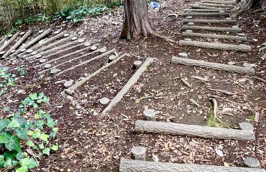 山道の分かれ道 山道,分かれ道,二股の写真素材