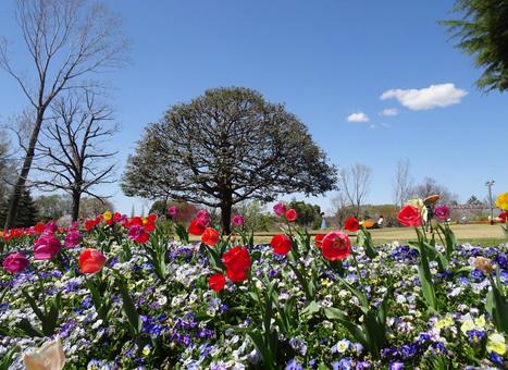 Andersen Park in April-70, JPG