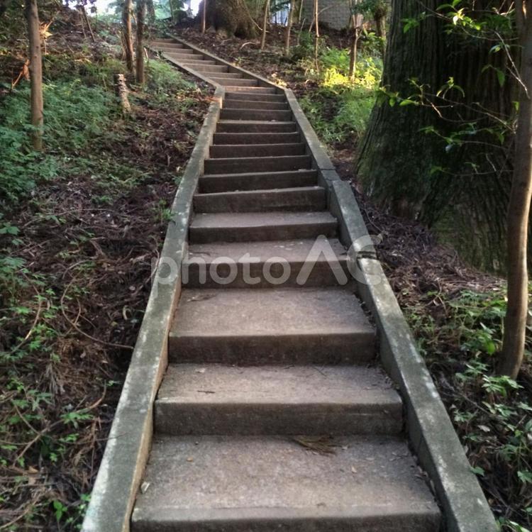 神社の階段 神社,日本,階段の写真素材