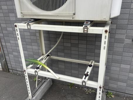落とし物 長ネギ 落とし物 長ネギの写真
